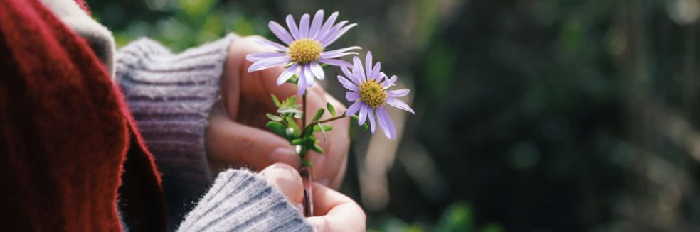 Holding a flower. Hope for the best Prepare for anything when searching for your relatives